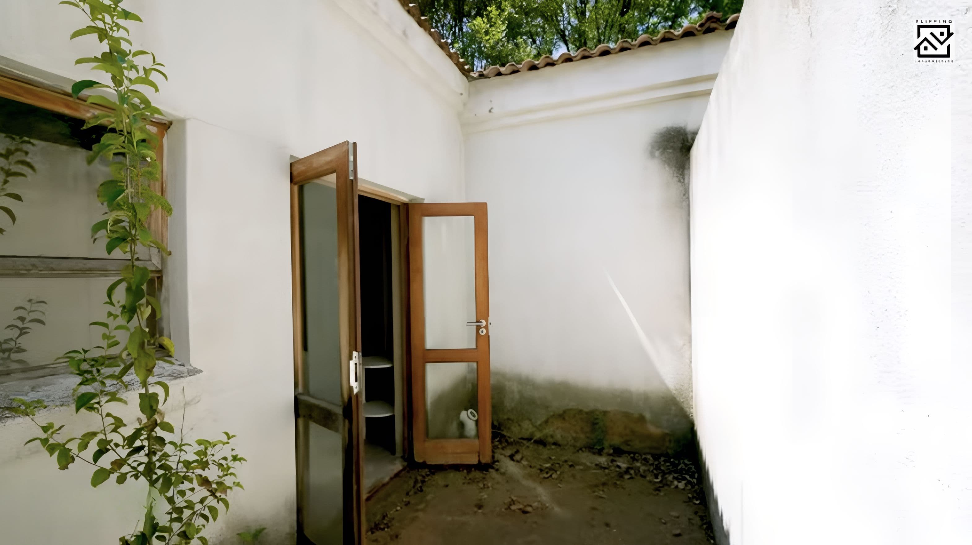 Project W Pair 16 - Before