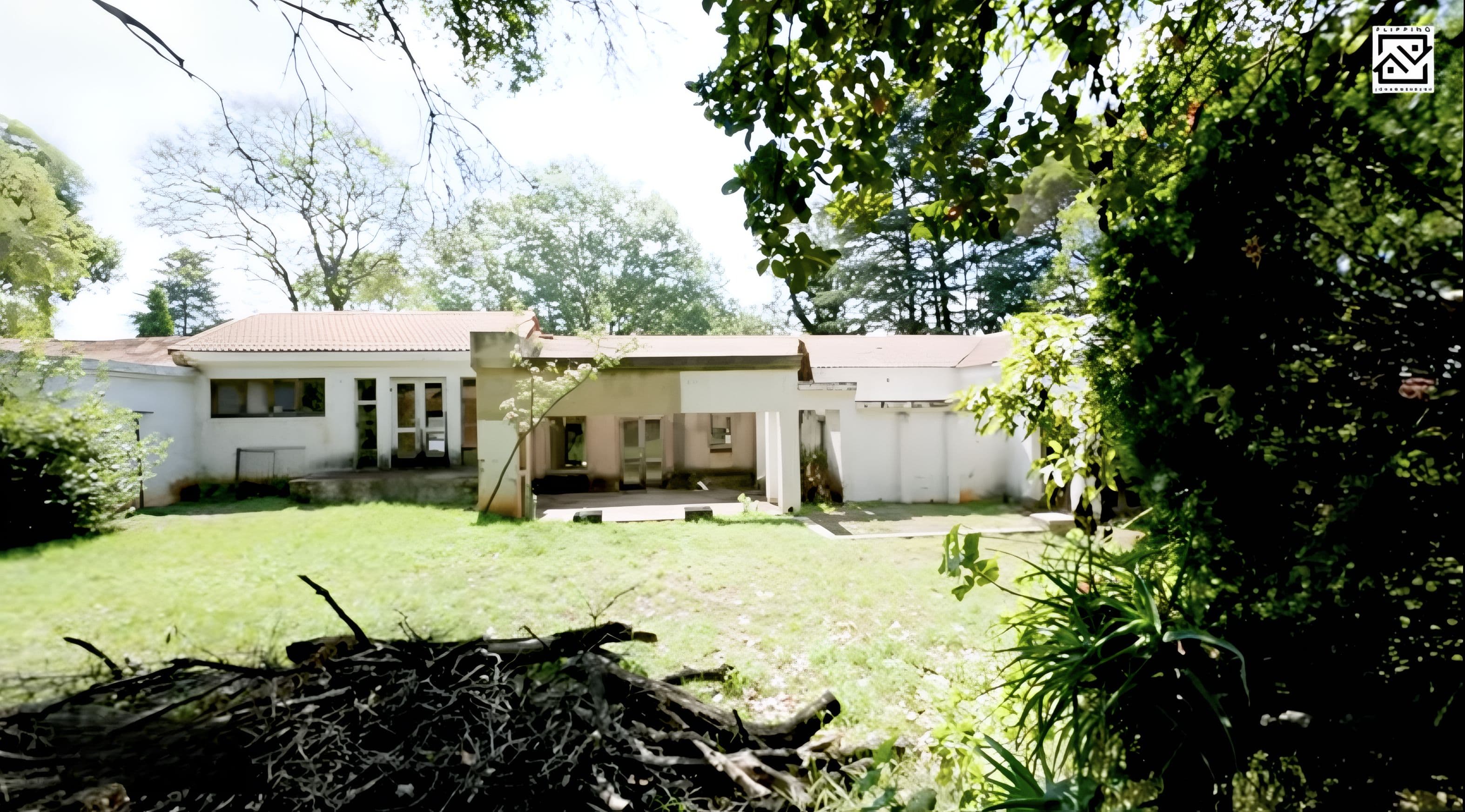 Project W Pair 18 - Before